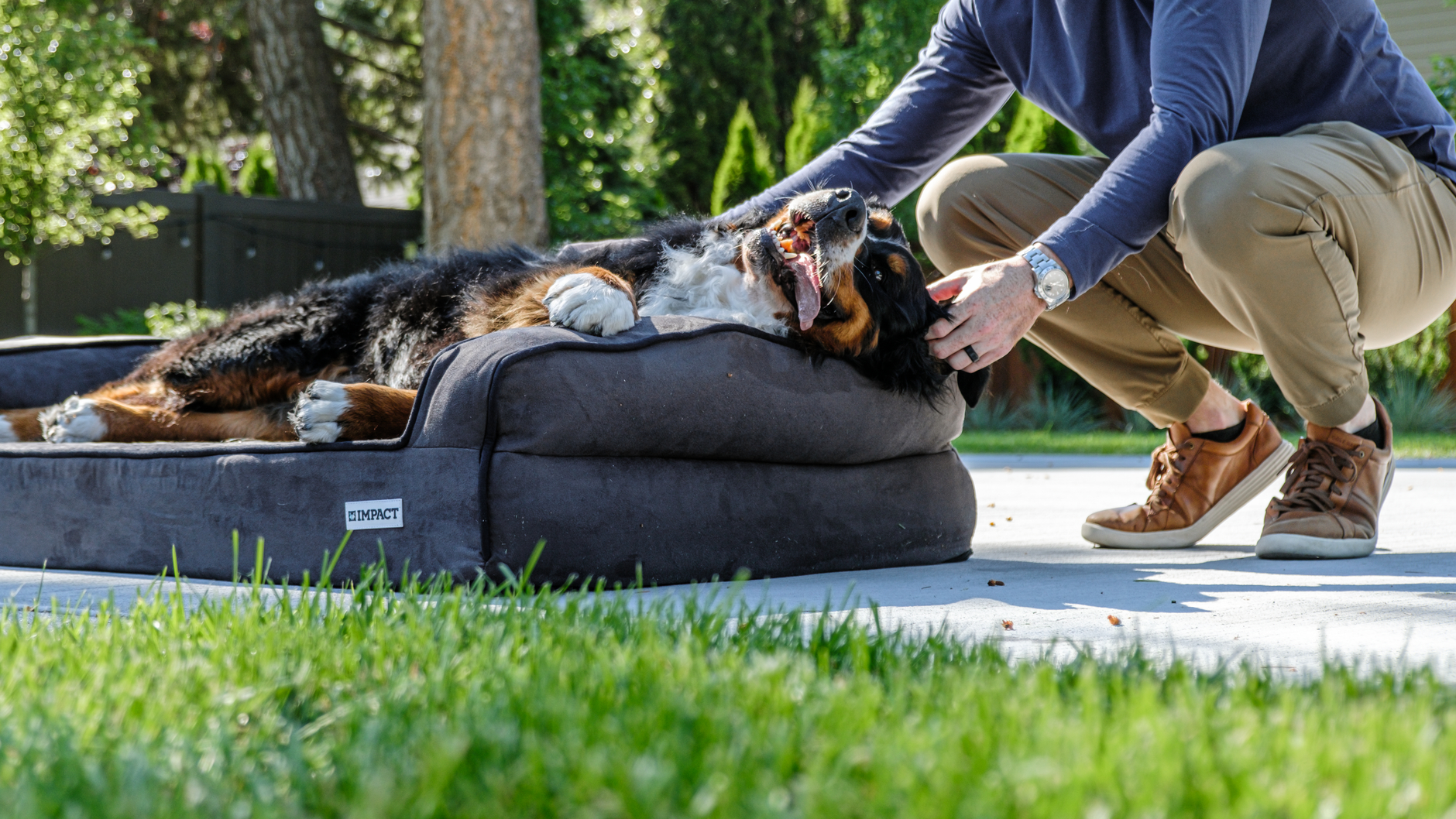 The Benefits of High-Quality Dog Beds for Your Pet's Health