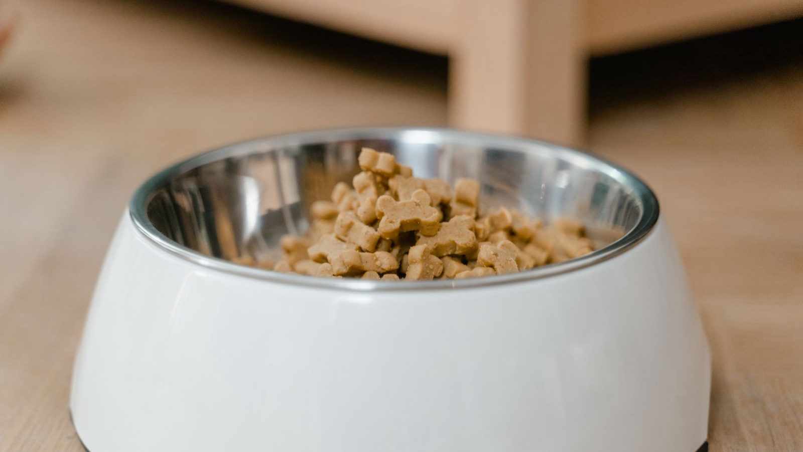 The Ultimate Guide to Choosing the Right Dog Food for Your Pup